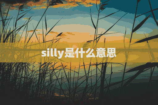 silly是什么意思